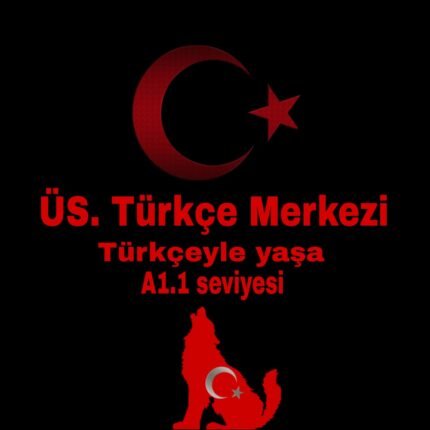 Türkçe Genel Kursu A1.1